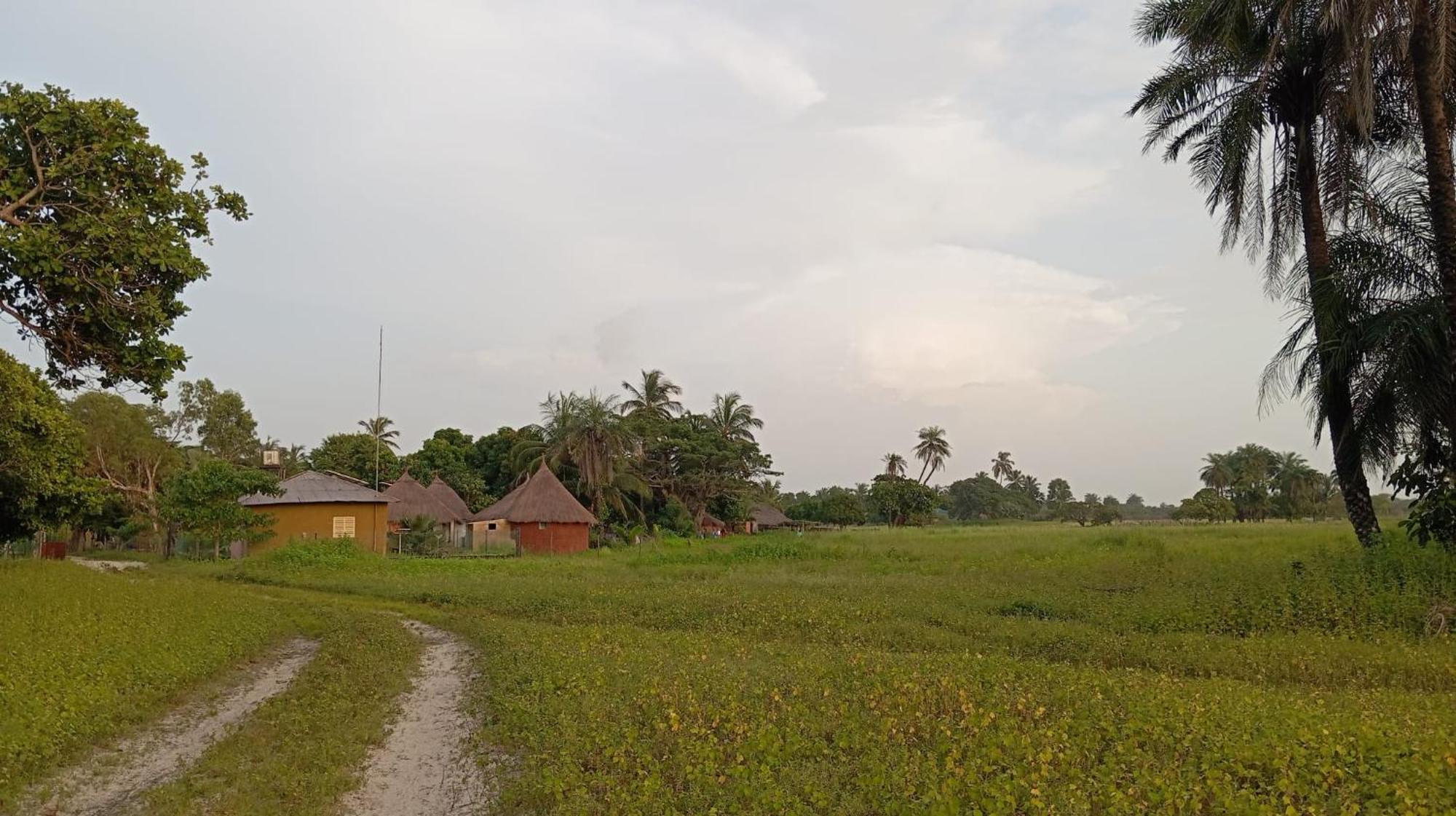 Campement Graine De Paradis Kachiouane Ngoại thất bức ảnh